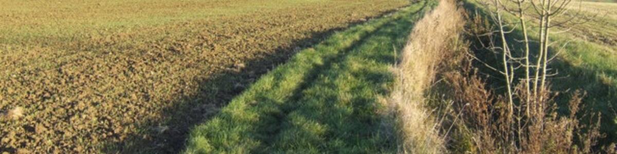 Photo "Footpath from Nosterfield End to Horseham Hall This is a county boundary; Suffolk is left (north) and Essex right (south)." by Jonathan Billinger (Creative Commons Attribution-Share Alike 2.0) / Cropped from original