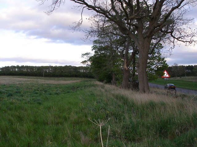 Kuva ”Wynyard” käyttäjältä Carol Rose (CC BY-SA) / rajattu alkuperäisestä kuvasta