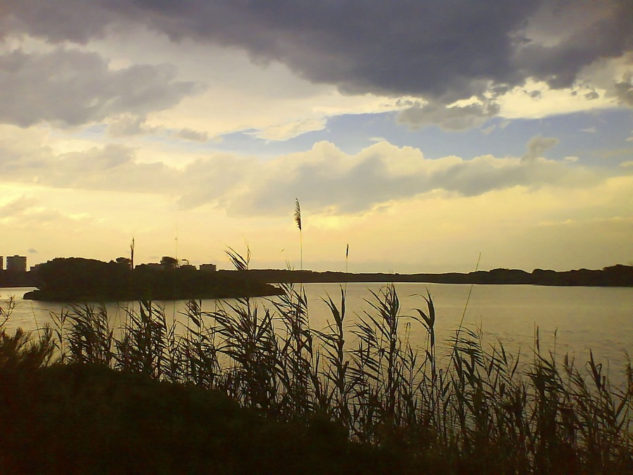This is a photography of a Special Area of Conservation in Spain with the ID: