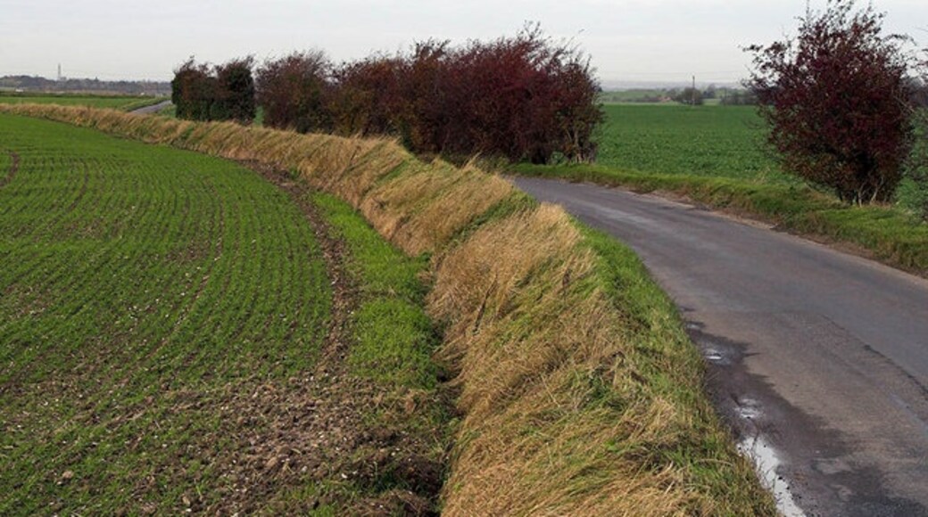 Billede "Wallington" af Richard Thomas (CC BY-SA) / beskåret fra det originale billede