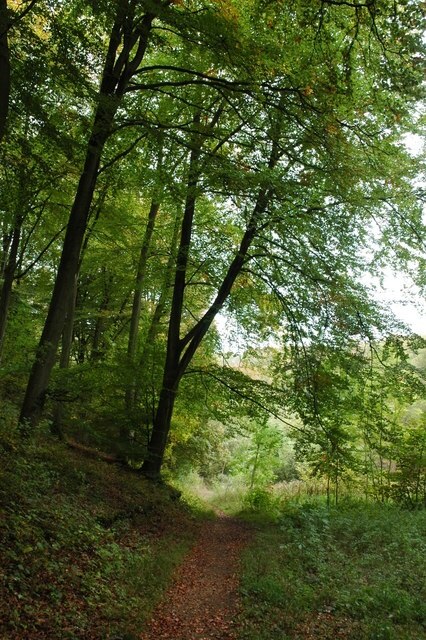 Kuva ”Brimpsfield” käyttäjältä Philip Halling (CC BY-SA) / rajattu alkuperäisestä kuvasta