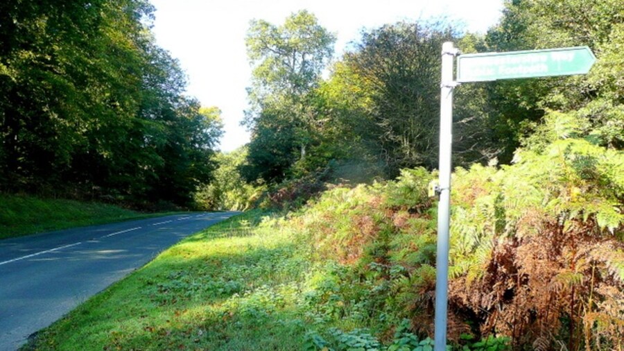 Photo "Road to Coleford Looking west, with the southern gridline for this square just to the left of the road. The over-exposed sign points the way along the Gloucestershire Way LDF." by Jonathan Billinger (Creative Commons Attribution-Share Alike 2.0) / Cropped from original