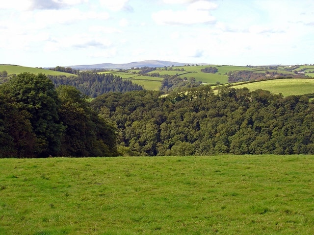 Pasture near Maesyrawel, Llanboidy 1