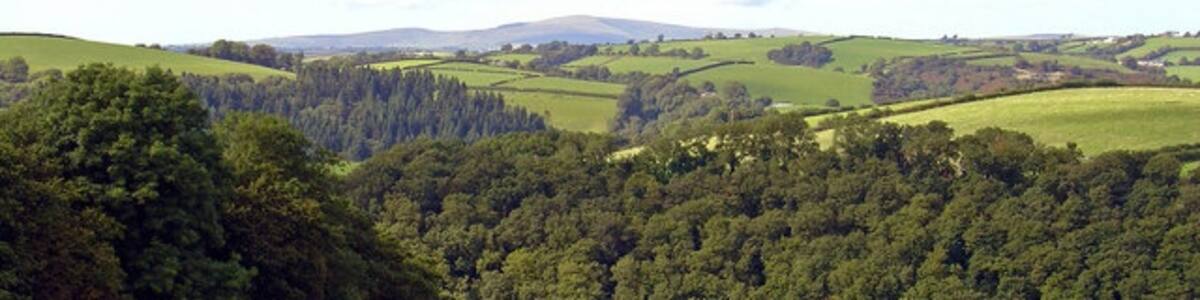 Photo "Pasture near Maesyrawel, Llanboidy 1" by Dylan Moore (Creative Commons Attribution-Share Alike 2.0) / Cropped from original