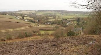Valley at Joyford. From the track mentioned in 1723742, a view down the valley containing Joyford Mill, and which continues