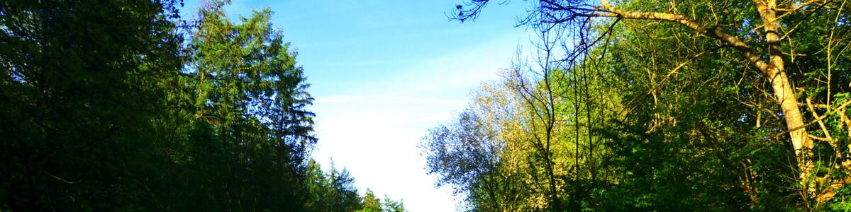 Photo "Hegau-Ablachtal-Bahn beim Steidlesee" by Dg-505 (Creative Commons Attribution 3.0) / Cropped from original