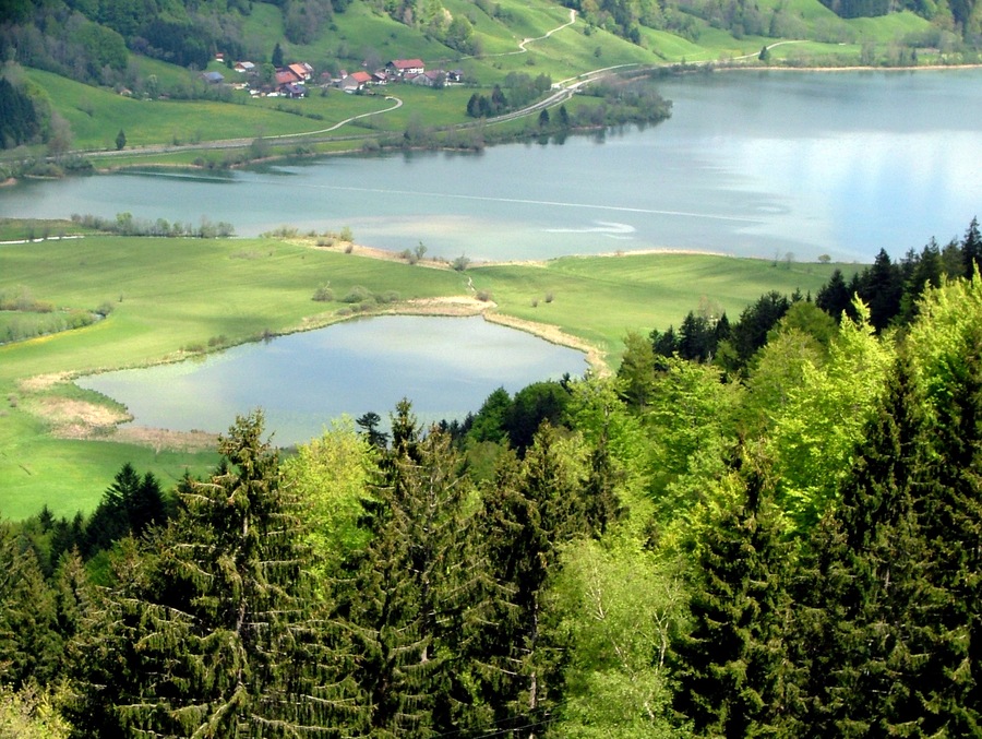 Alpsee