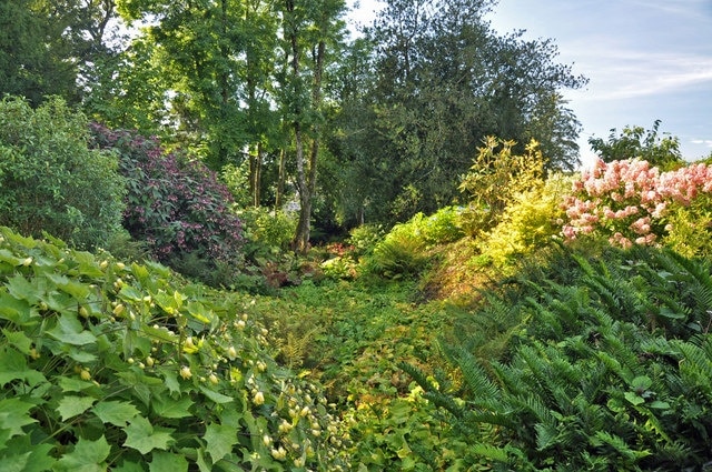 Section of garden adjacent to the house - Aberglasney