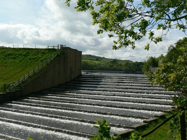 Foto “Lindley” tomada por RichTea (CC BY-SA); recorte de la original