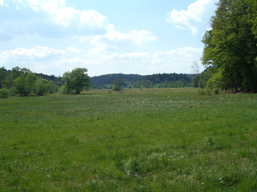 Leintal
