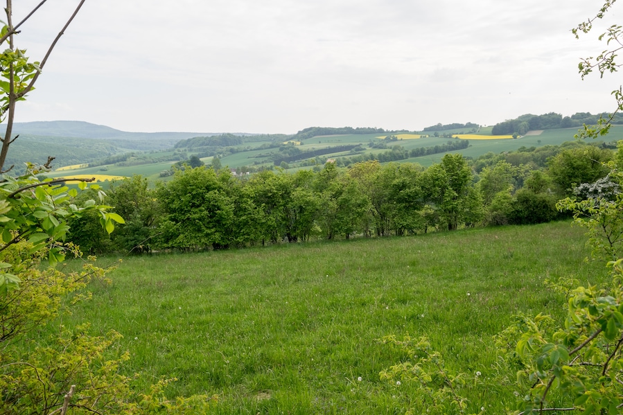Naturschutzgebiet Hecken- und Grünlandkomplex auf der Sonnenborner Hochfläche und dem Knappberg, Barntrup, Kreis Lippe