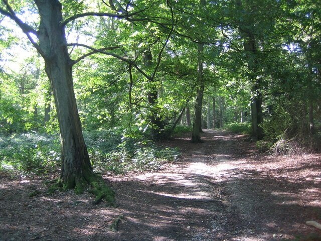 Photo "Langley" by Nigel Cox (CC BY-SA) / Cropped from original