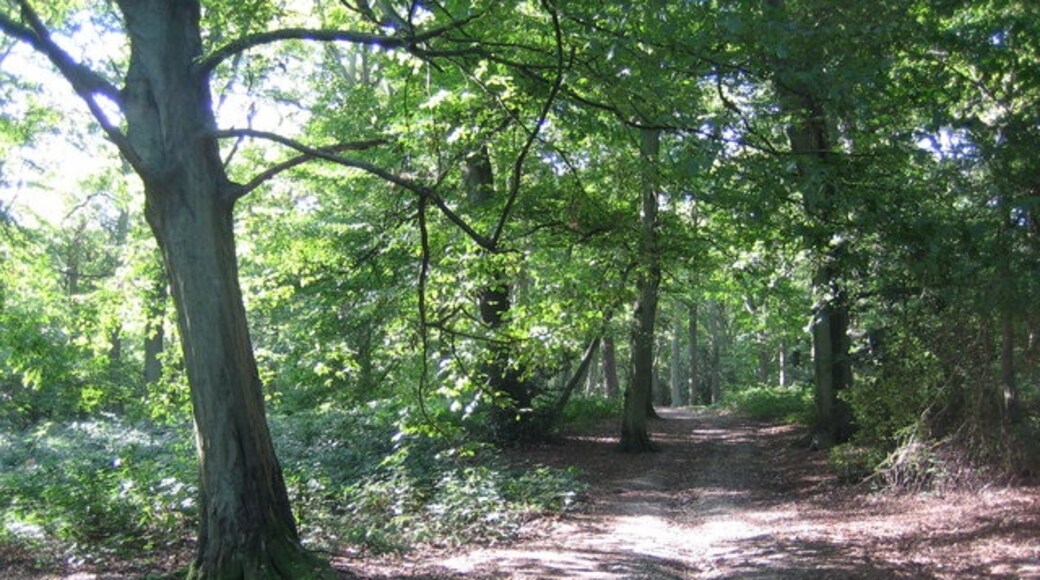 Photo "Langley" by Nigel Cox (CC BY-SA) / Cropped from original