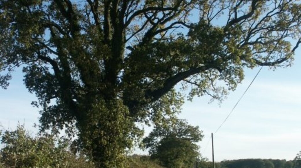 Foto „Great Melton“ von Katy Walters (CC BY-SA)/zugeschnittenes Original