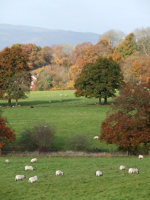 Kuva ”Neen Savage” käyttäjältä Roger Kidd (CC BY-SA) / rajattu alkuperäisestä kuvasta