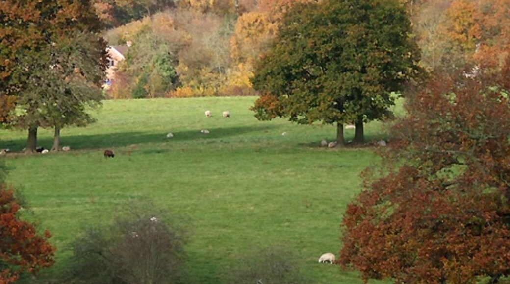 Kuva ”Neen Savage” käyttäjältä Roger Kidd (CC BY-SA) / rajattu alkuperäisestä kuvasta