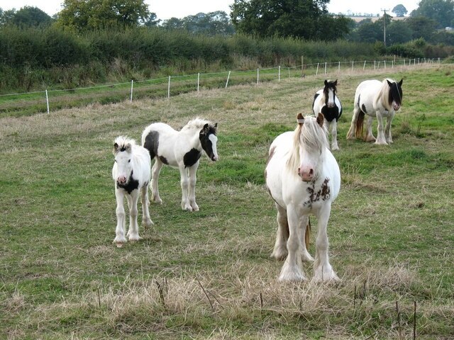 Photo "Angram Grange" by Gordon Hatton (CC BY-SA) / Cropped from original