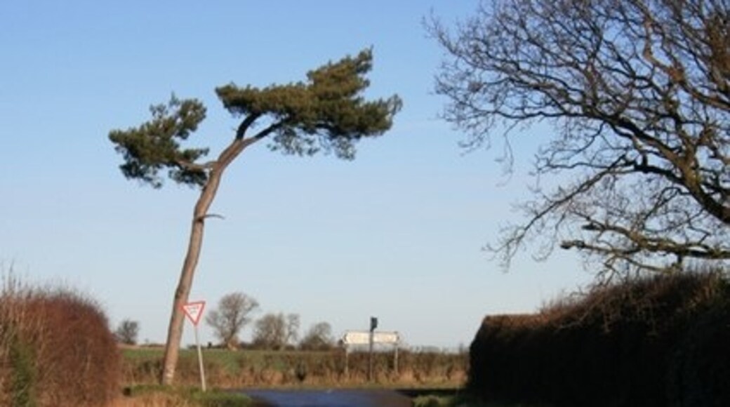 Billede "Deighton" af Mick Garratt (CC BY-SA) / beskåret fra det originale billede