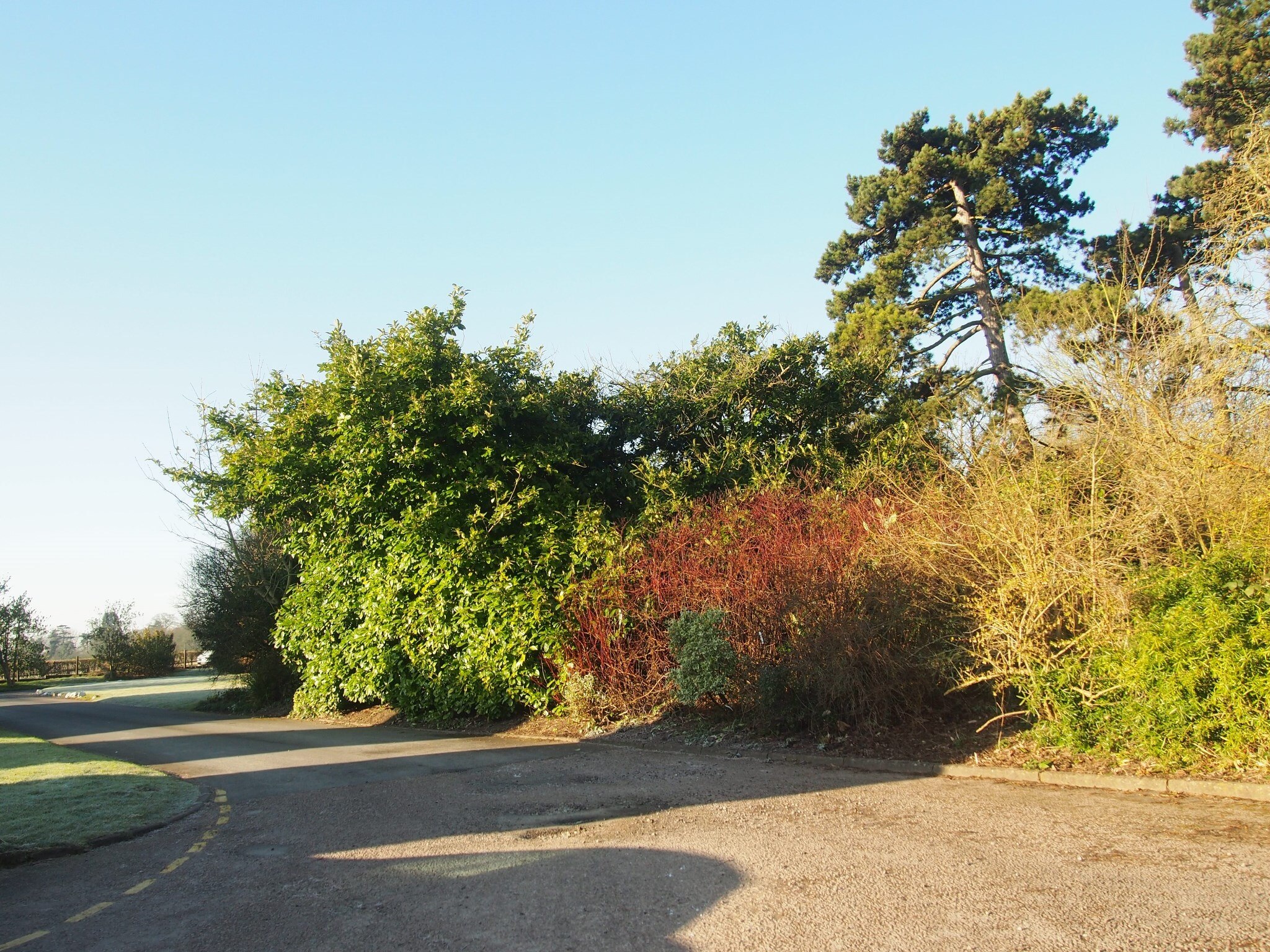 "Whittington"-foto av Kevin Woodcock (CC BY) / Urklipp från original