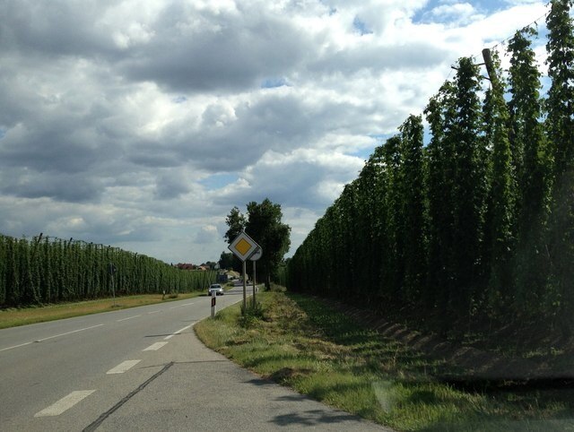 Die B301 im Hopfenanbaugebiet bei Etzenbach