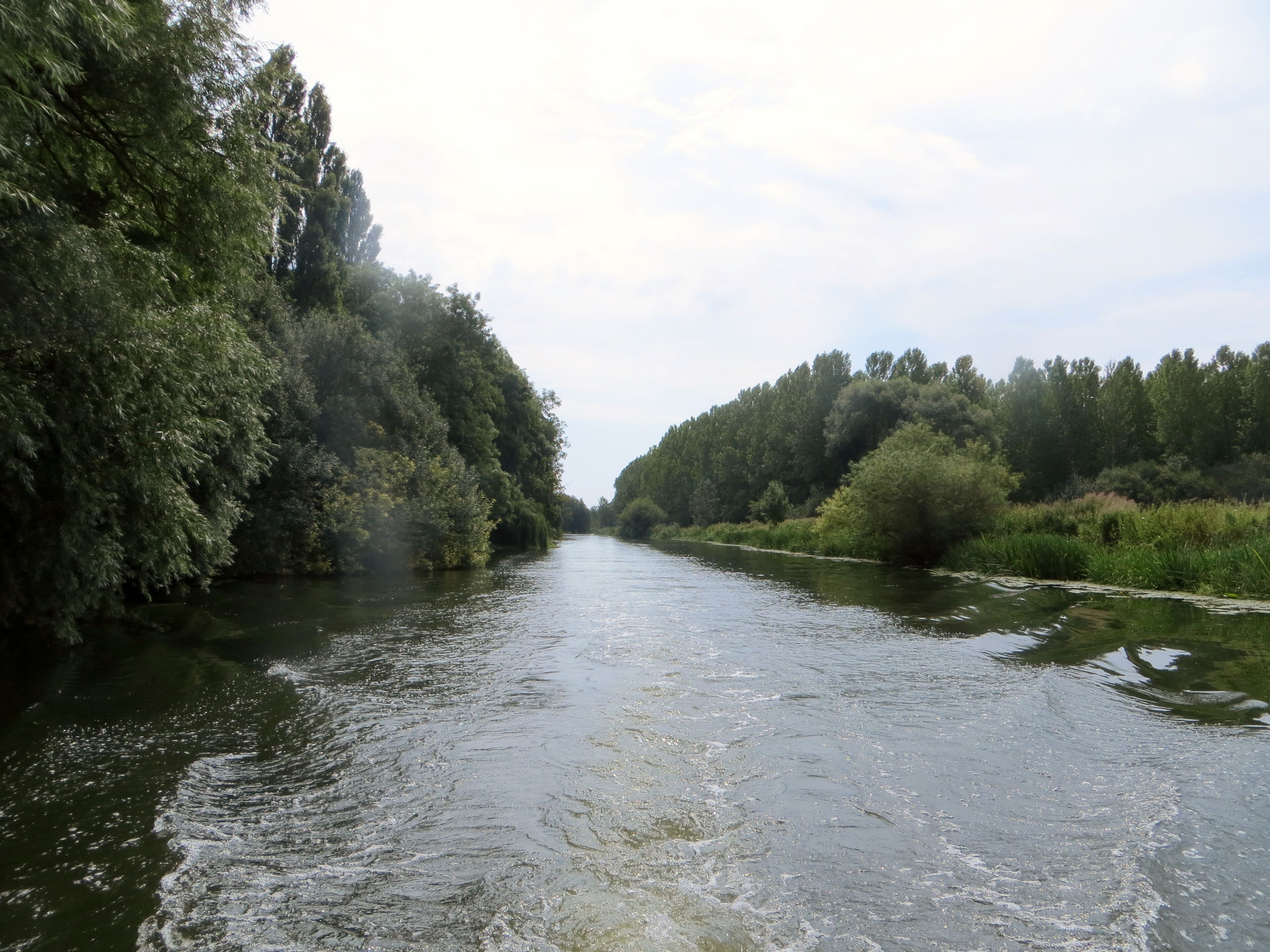 Foto “Cotterstock” tomada por Forester2009 (CC BY-SA); recorte de la original