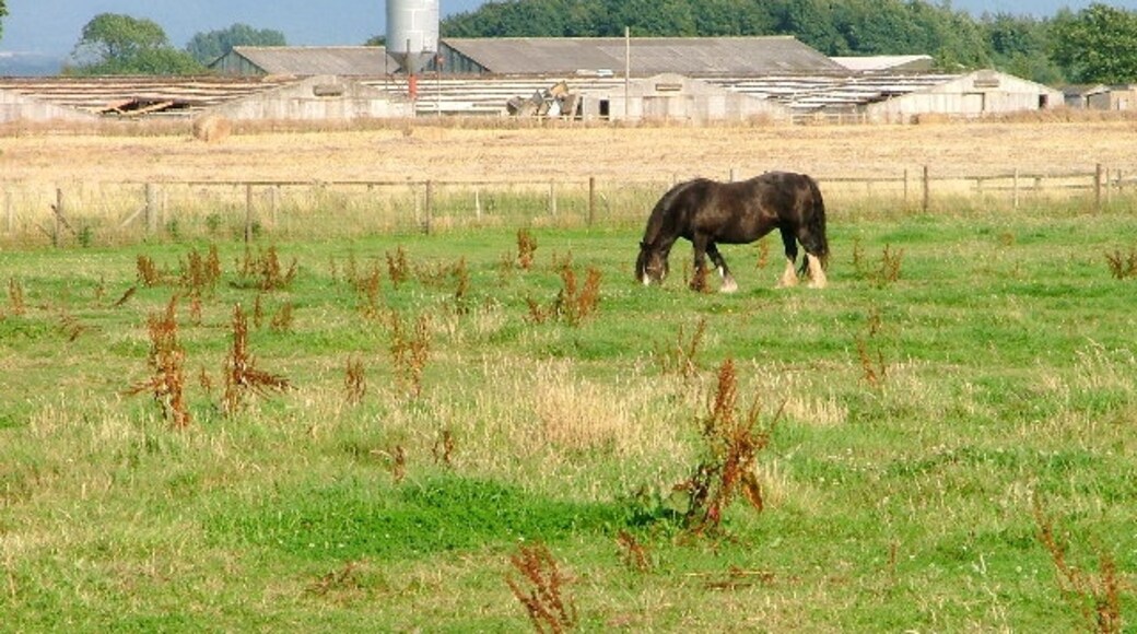 Photo "Skutterskelfe" by Mick Garratt (CC BY-SA) / Cropped from original