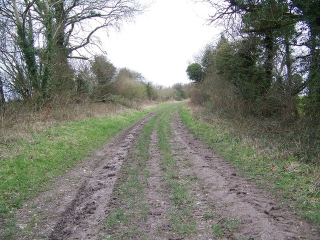 Byway on Hawking Down