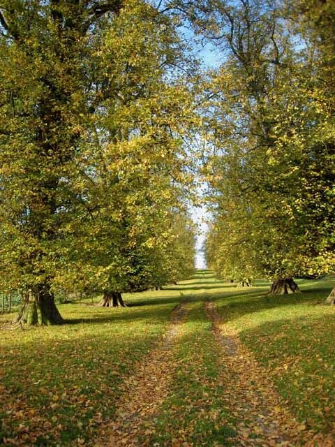 Ảnh "Burrill với Cowling" của Oliver Dixon (CC BY-SA) / Cắt từ ảnh gốc