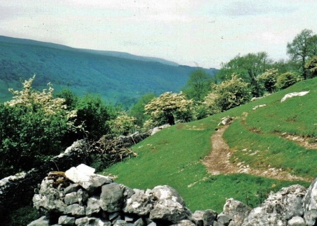 Footpath through Cross Wood