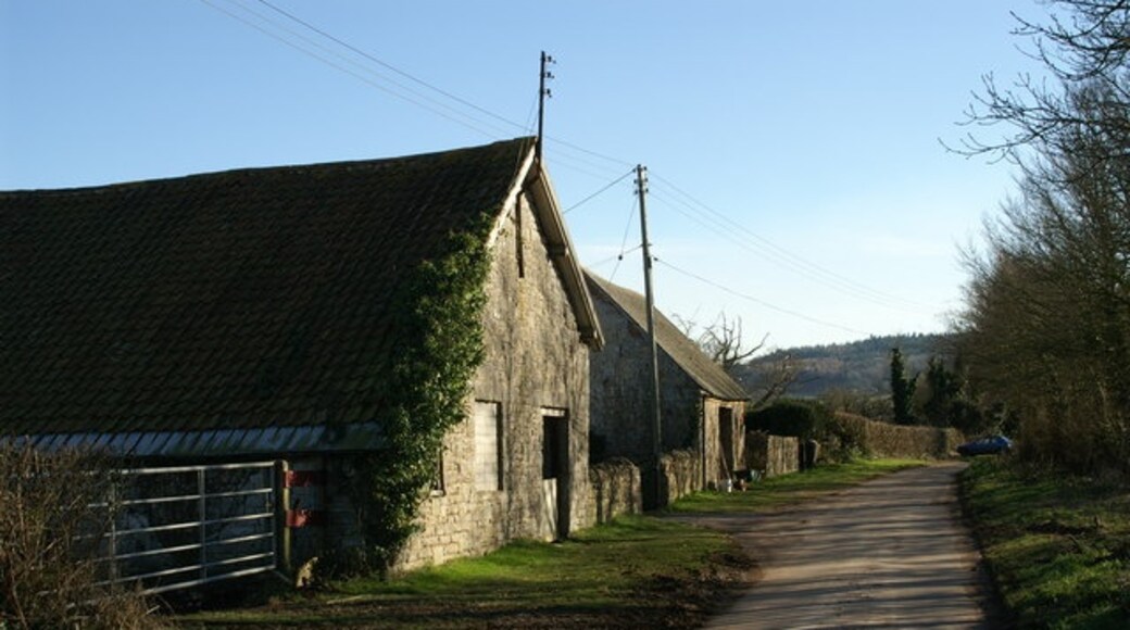 Foto "Stringston" de Adrian and Janet Quantock (CC BY-SA) / Recortada do original