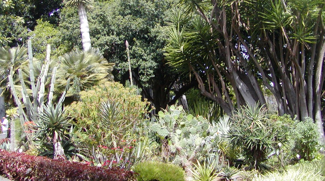 "Botanical Gardens"-foto av giggel (CC BY) / Urklipp från original