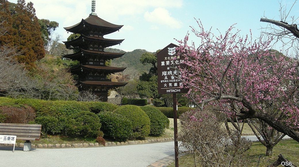 Foto "Tempio di Ruriko-ji" di OS6 (CC BY-SA) / Ritaglio dell’originale