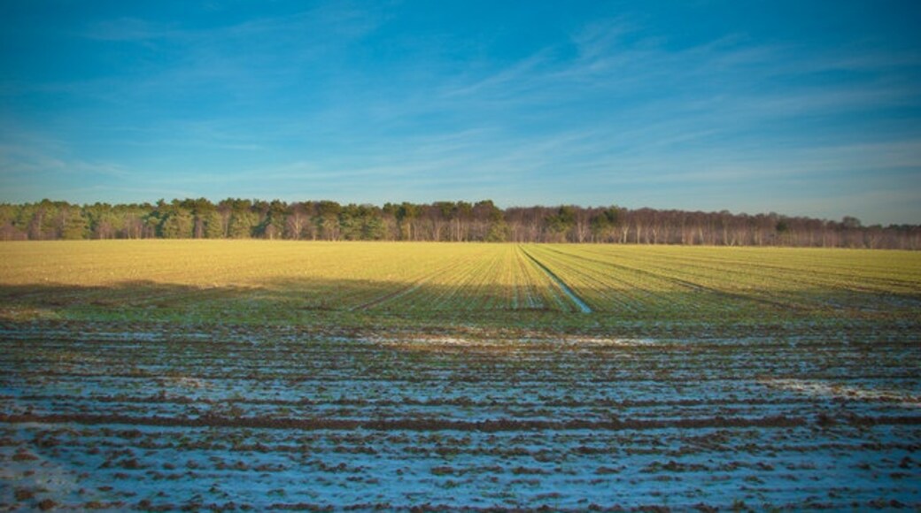 Photo "Sutton" by Malcolm Bell (CC BY-SA) / Cropped from original