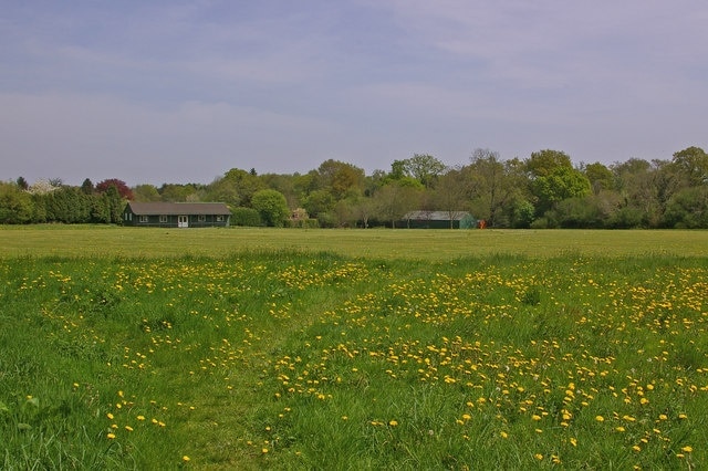 Six Brothers Field. National Trust owned and home of Chaldon Cricket Club. For story behind the name see 48358.