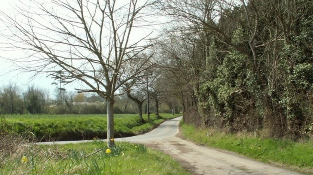 Kuva ”Chignall” käyttäjältä Robert Edwards (CC BY-SA) / rajattu alkuperäisestä kuvasta