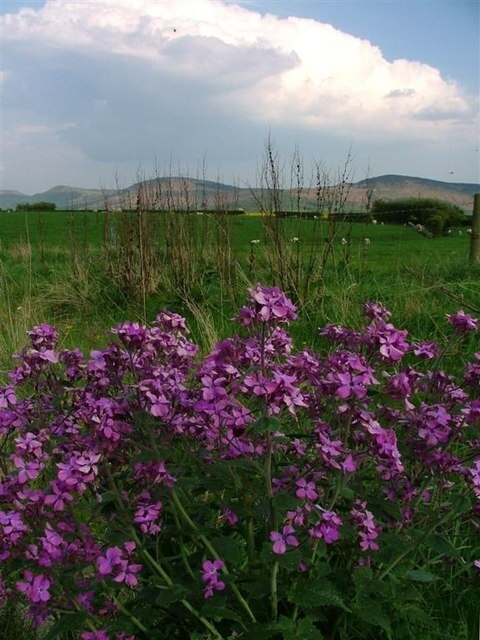 Photo "Sexhow" by Mick Garratt (CC BY-SA) / Cropped from original