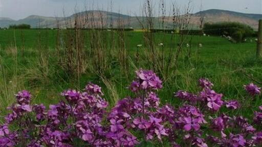 Photo "Sexhow" by Mick Garratt (CC BY-SA) / Cropped from original