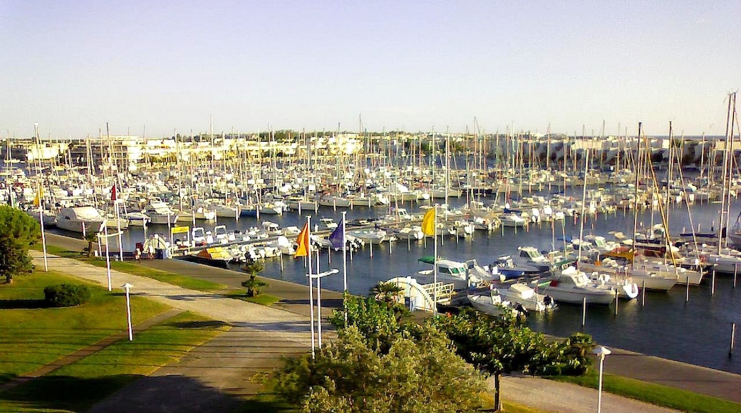 « Port-Camargue», photo de Jmpoirier1 (CC BY-SA) / rognée de l’originale
