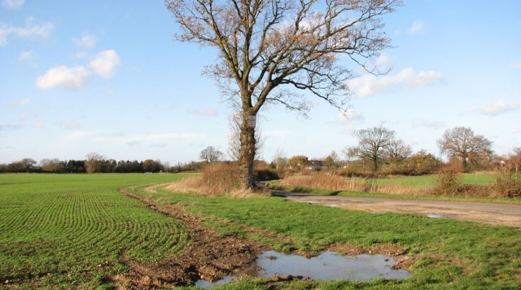 Foto „Dickleburgh und Rushall“ von Evelyn Simak (CC BY-SA)/zugeschnittenes Original