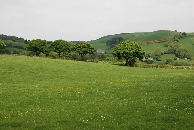 Fields east of Lluest-y-gelli