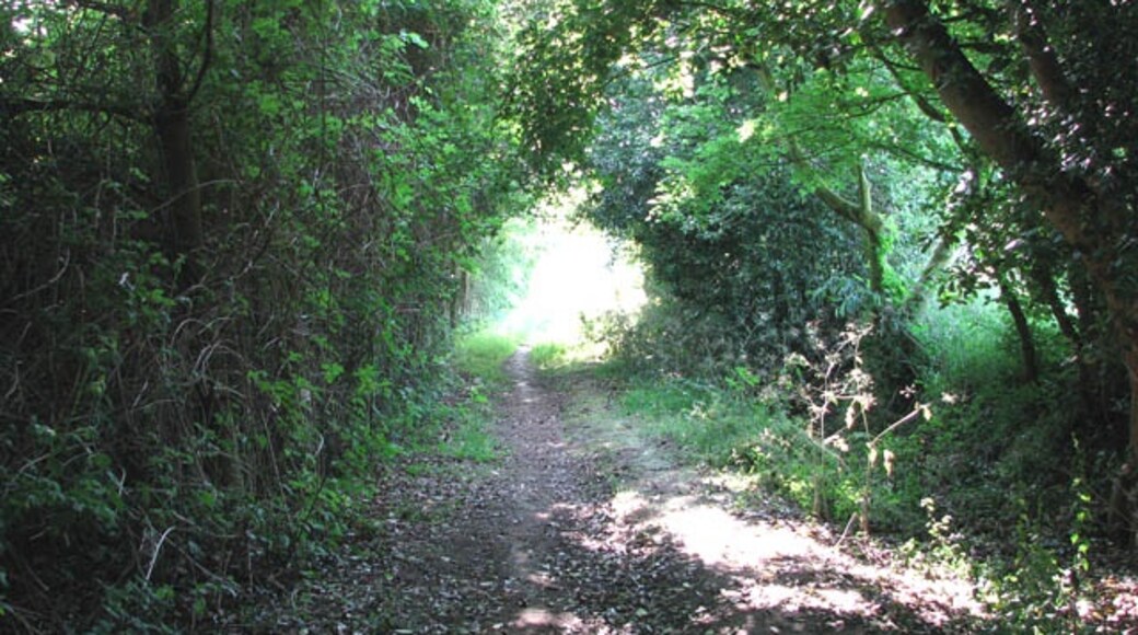 Foto „Alpington“ von Evelyn Simak (CC BY-SA)/zugeschnittenes Original