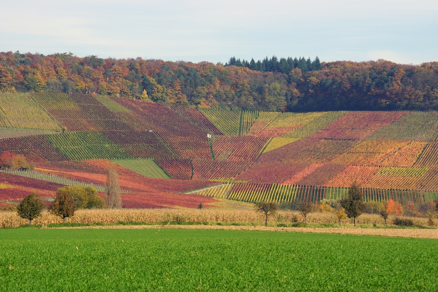 Neipperg 11/2014