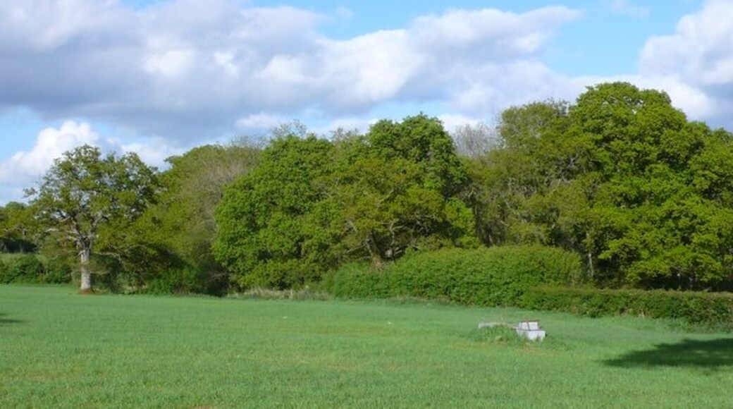 Foto "Lydlinch" por Nigel Mykura (CC BY-SA) / Recortada de la original