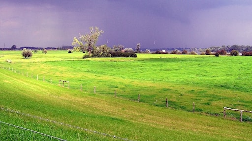 Foto ‘Vynen’ van Christoph Heckel (CC BY) / bijgesneden versie van origineel