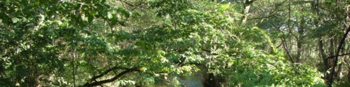 Photo "River Nar from the road bridge in TF7614 Looking north east." by Robert Walden (Creative Commons Attribution-Share Alike 2.0) / Cropped from original