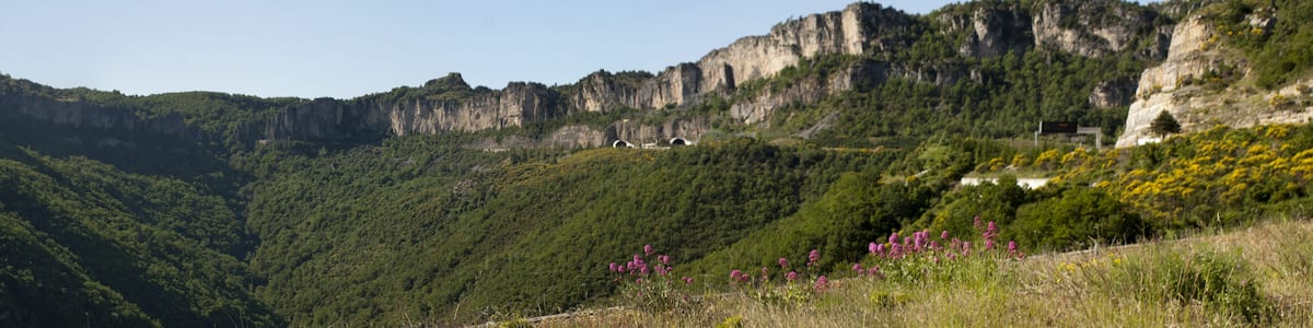 Photo "The cliffs of the Pas de l'escalette mark the southern limit of the Larzac plateau. View from the belvédère of Pégairolles-de-l'Escalette." by Dvillafruela (Creative Commons Attribution-Share Alike 3.0) / Cropped from original