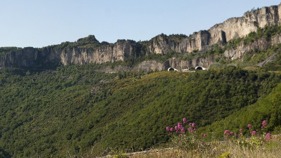 Photo "The cliffs of the Pas de l'escalette mark the southern limit of the Larzac plateau. View from the belvédère of Pégairolles-de-l'Escalette." by Dvillafruela (Creative Commons Attribution-Share Alike 3.0) / Cropped from original