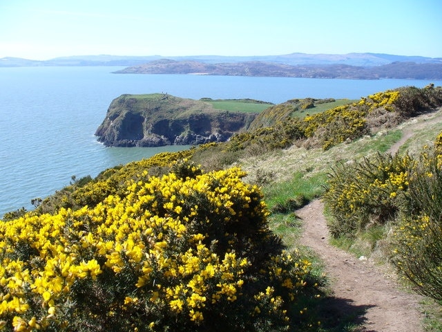 Castlehill Point from Barcloy Hill Coastal path with blooming gorse from Rockcliffe to Sandyhills with superb sea views. This is form Barcloy Hill looking to Castlehill Point with its prehistoric hillfort. Beyond is the mouth of Rough Firth.