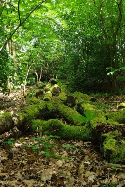 Ảnh "Great and Little Leighs" của Glyn Baker (CC BY-SA) / Cắt từ ảnh gốc