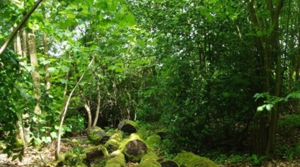 "Great and Little Leighs"-foto av Glyn Baker (CC BY-SA) / Urklipp från original